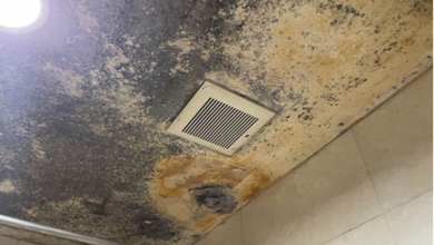 How to Keep Your Singapore Bathroom Mould-Free