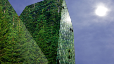 Sustainable Construction Materials: The Path to Eco-Friendly Building