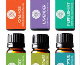 Top 6 Essential Oils Everyone Should Have In Their Collection