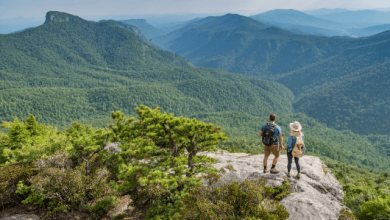 Best Hiking Trails in the NC Mountains