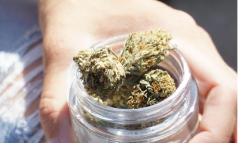 What To Ask Vendors When Buying THCa Flower